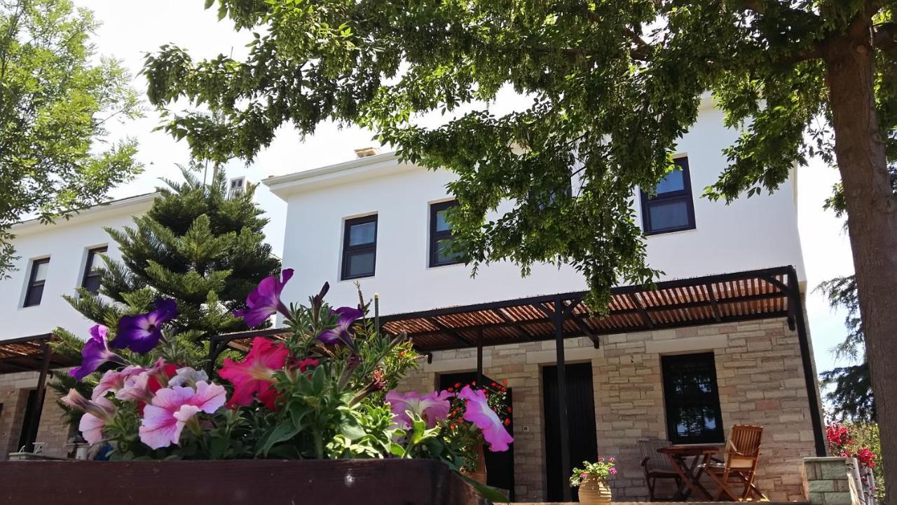 Sivota Apartments Athina Eksteriør bilde