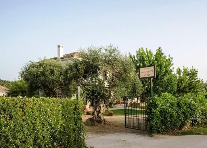 Sivota Apartments Athina Eksteriør bilde