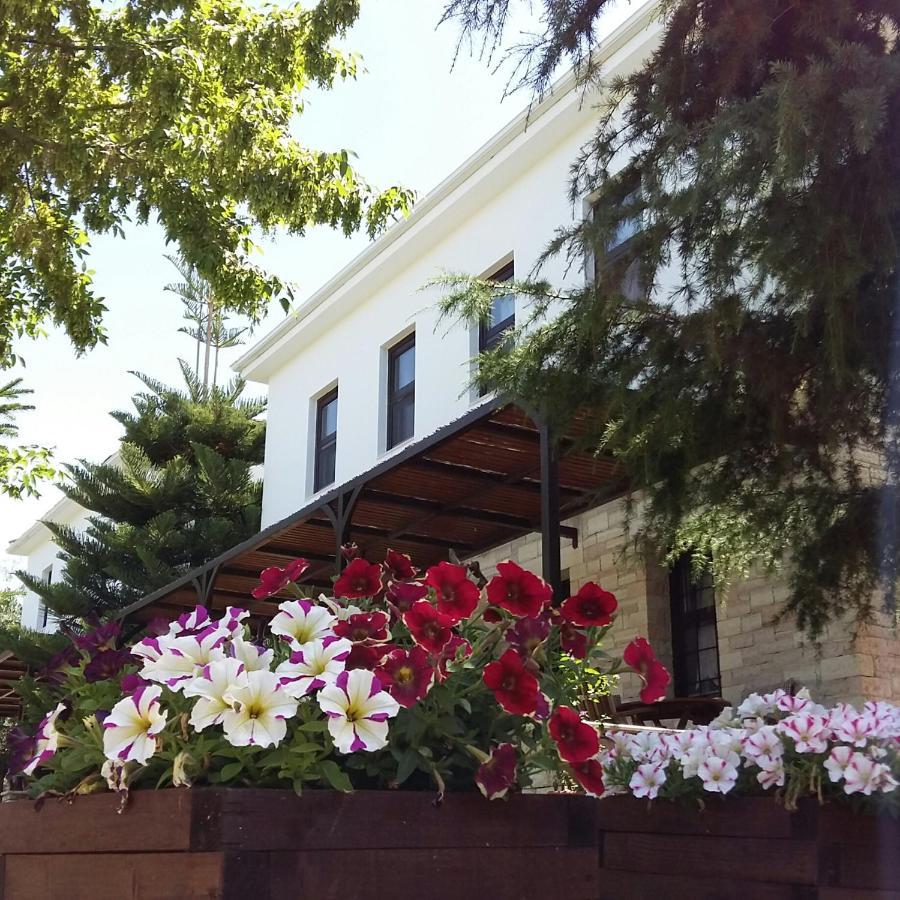 Sivota Apartments Athina Eksteriør bilde