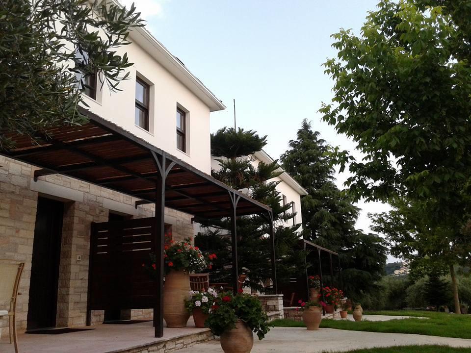 Sivota Apartments Athina Rom bilde